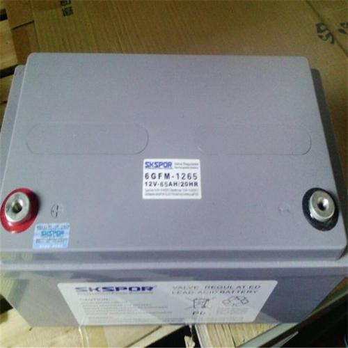 吉林苏克士12V40Ah蓄电池代理商如何助力EPS电源市场发展？